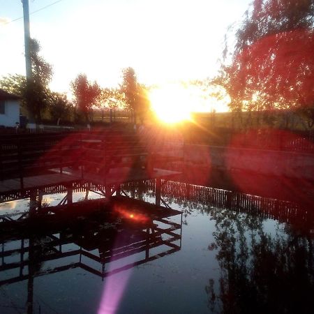 Pensiunea ,,La struti Târgu Neamţ Exterior foto