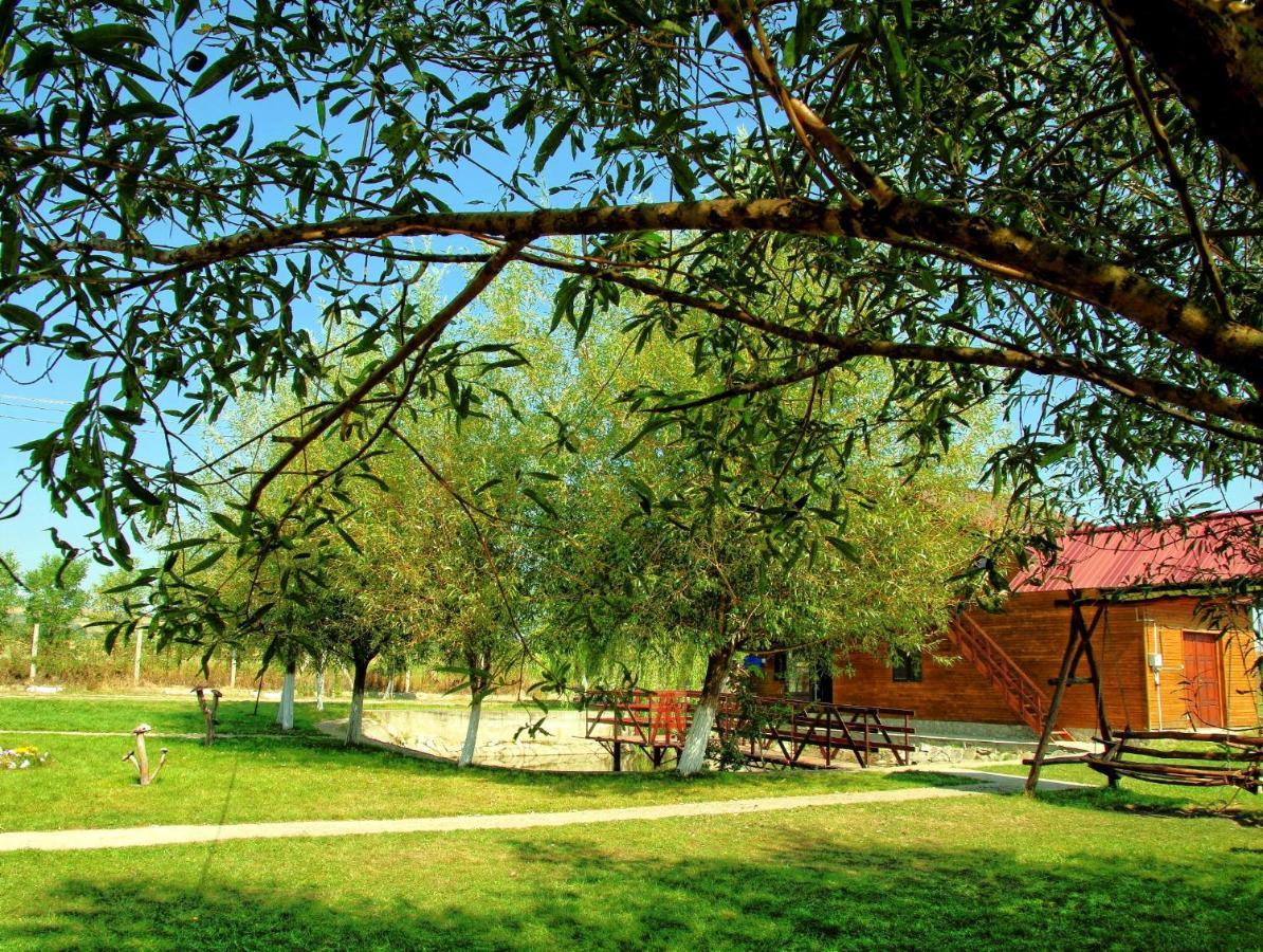 Pensiunea ,,La struti Târgu Neamţ Exterior foto
