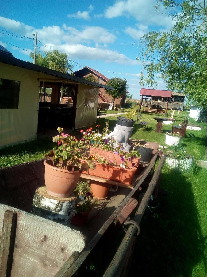 Pensiunea ,,La struti Târgu Neamţ Exterior foto